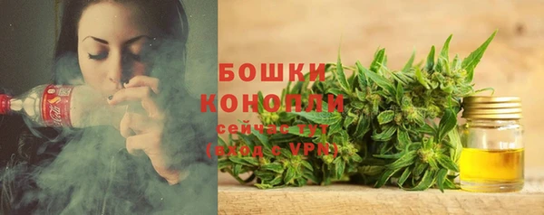 эйфоретик Каменногорск