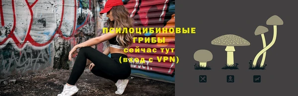 apvp Каменка