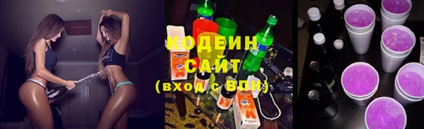 apvp Каменка