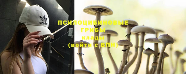 марки lsd Инсар