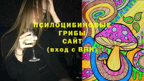 эйфоретик Каменногорск