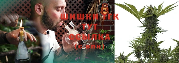 2c-b Инта